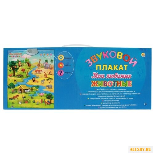 Электронный плакат Рыжий кот