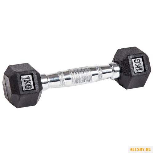 Набор гантелей неразборных Body