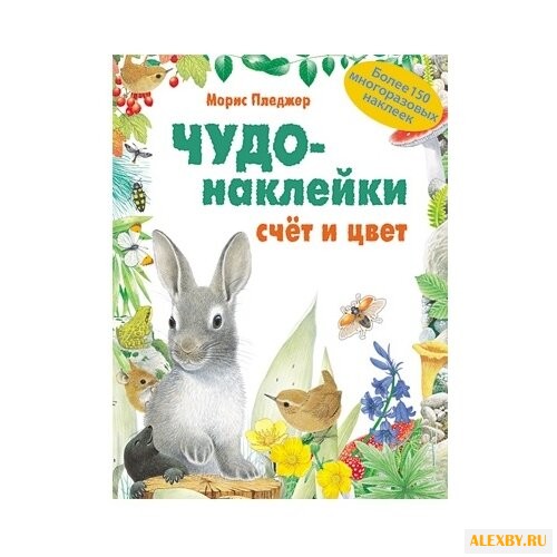 Чудо-наклейки. Счет и цвет