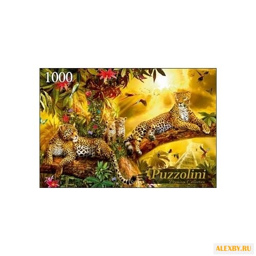 Пазл Рыжий кот Puzzolini Ян