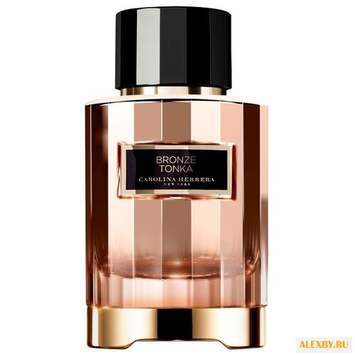 CAROLINA HERRERA Bronze Tonka