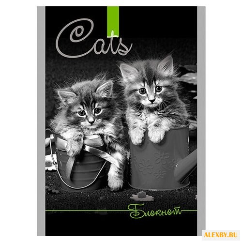 Блокнот КТС-ПРО Два котенка A6