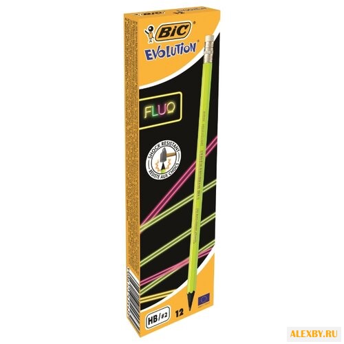 BIC Набор чернографитных