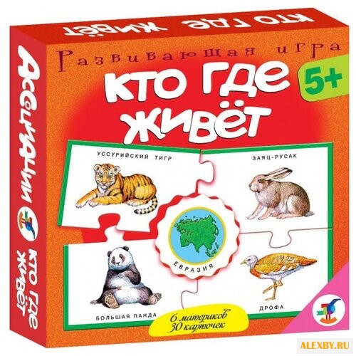 Настольная игра Дрофа-Медиа