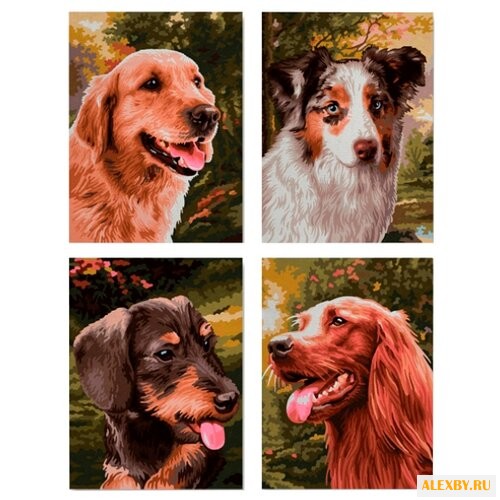 Schipper Картина по номерам