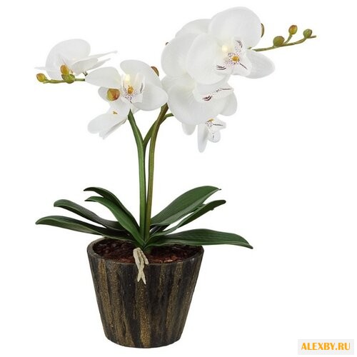 Настольная лампа Globo Lighting