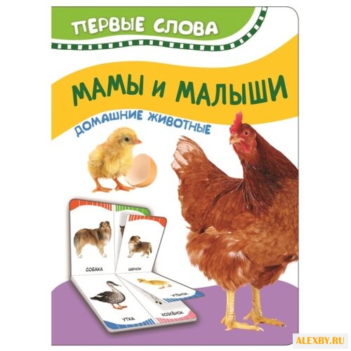 Котятова Н.И. Первые слова.