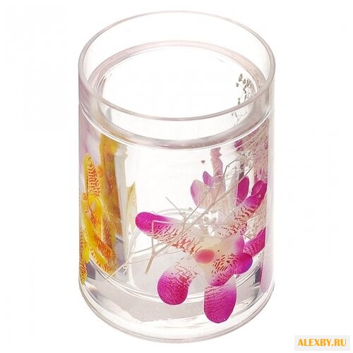 Стакан Vanstore Орхидея 337-01