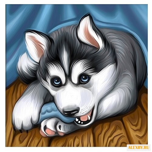 Алмазная живопись Набор