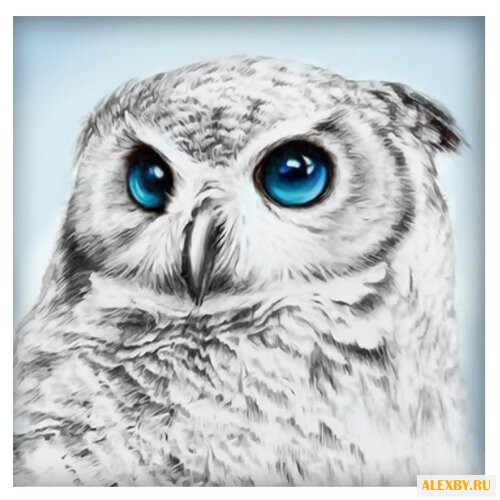 Алмазная живопись Набор