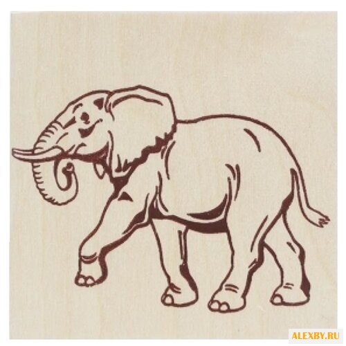 Рыжий кот Набор для выжигания