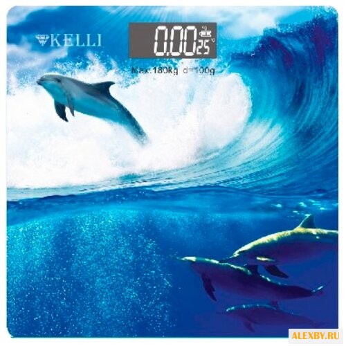 Весы Kelli KL-1538