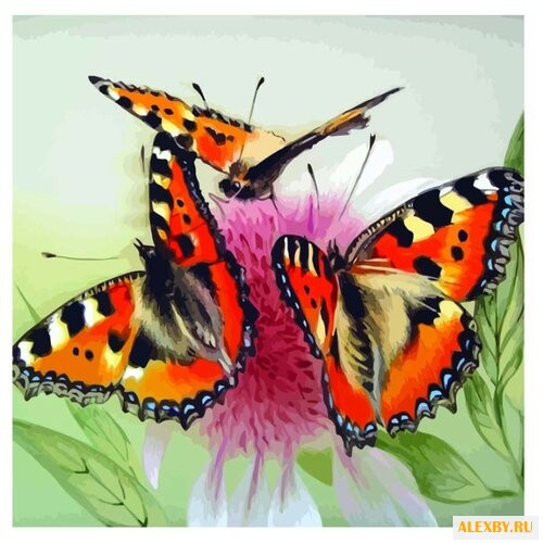 Color Kit Картина по номерам