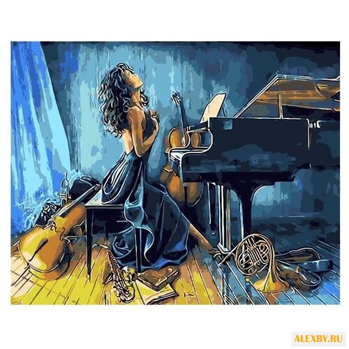 Paintboy Картина по номерам Со