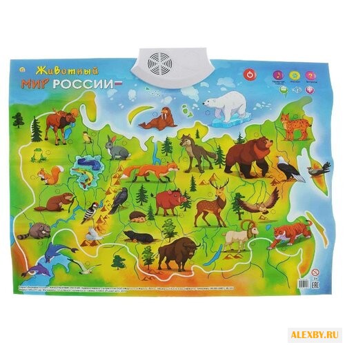 Электронный плакат Рыжий кот