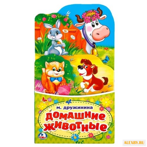 Дружинина М.