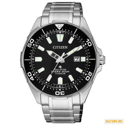 Наручные часы CITIZEN BN0200-81E