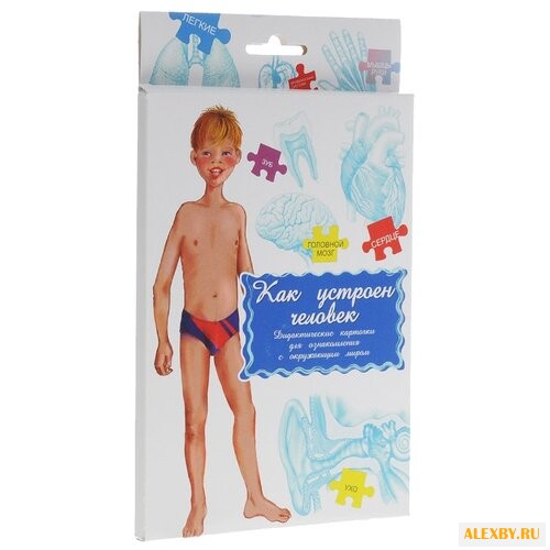 Набор карточек Маленький гений