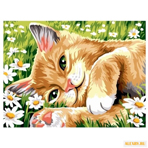 Color Kit Картина по номерам