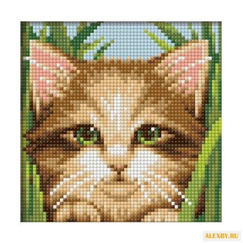 Алмазная живопись Набор