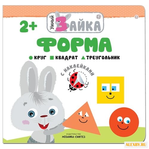 Умный зайка. Форма