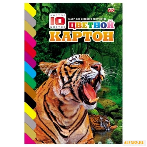 Цветной картон VK Тигр Hatber