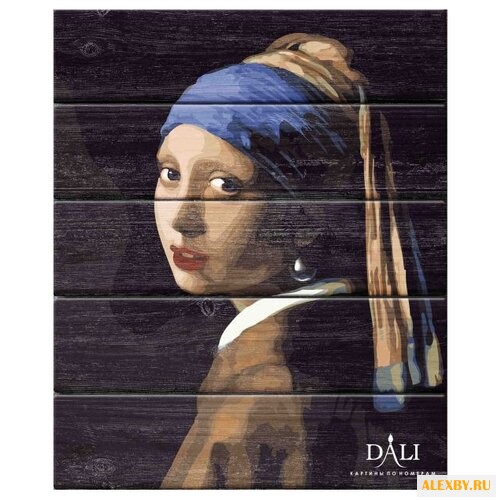 DALI Картина по номерам Девушка
