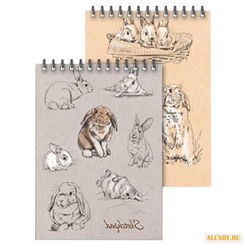 Альбом для эскизов Феникс Зайки