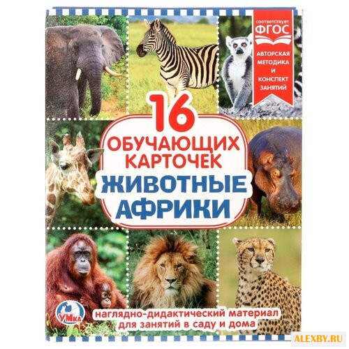 Набор карточек Умка Животные