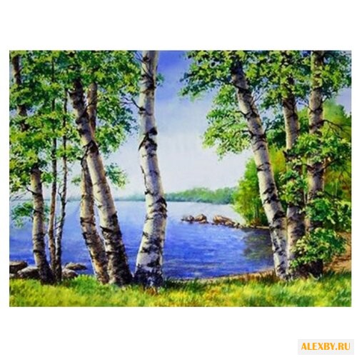 Алмазная живопись Набор