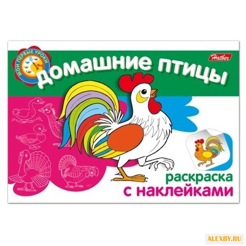 Hatber Раскраска с наклейками.