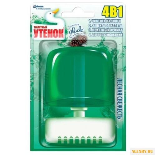 Туалетный утенок туалетный блок