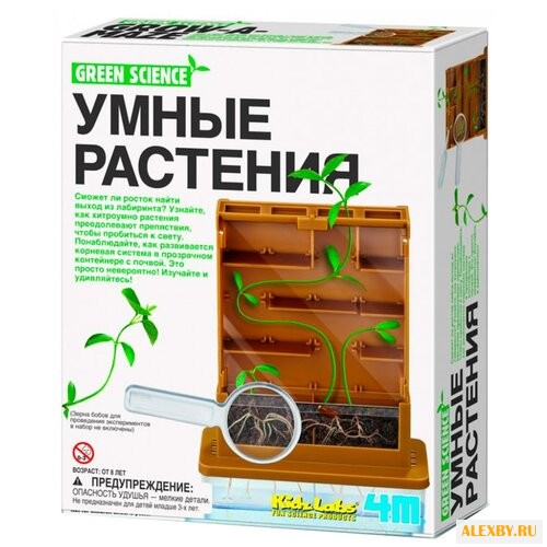 Набор для выращивания 4M Умные