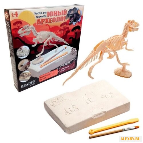 Набор для раскопок BRADEX Юный