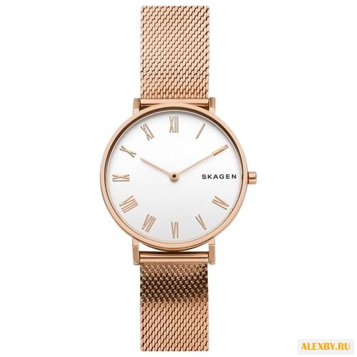 Наручные часы SKAGEN SKW2714