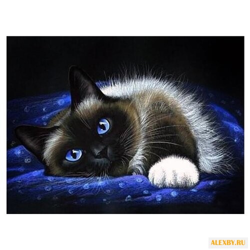 Алмазная живопись Набор