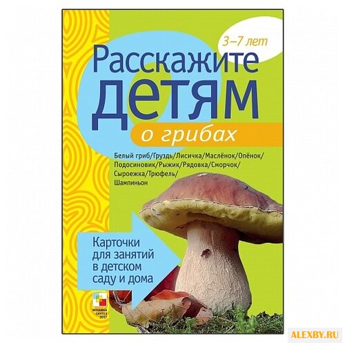 Набор карточек Мозаика-Синтез