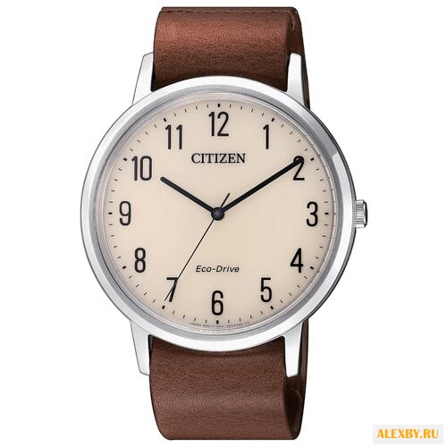 Наручные часы CITIZEN BJ6501-28A