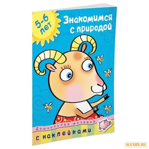 Земцов О.Н. Дошкольная мозаика.