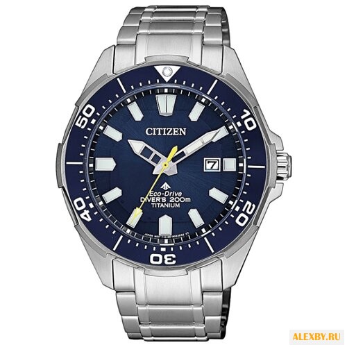 Наручные часы CITIZEN BN0201-88L