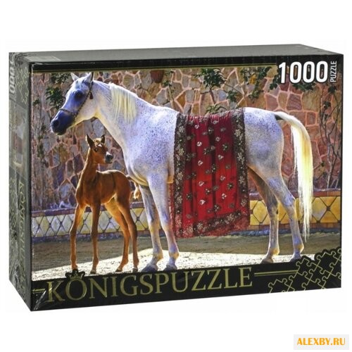 Пазл Рыжий кот Konigspuzzle