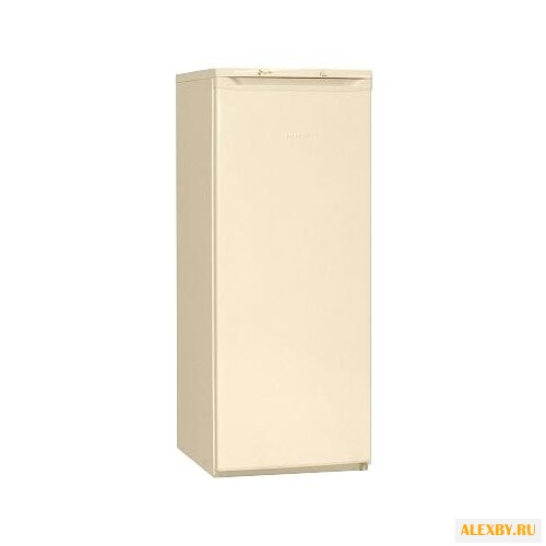 Морозильник NORD DF 165 EAP