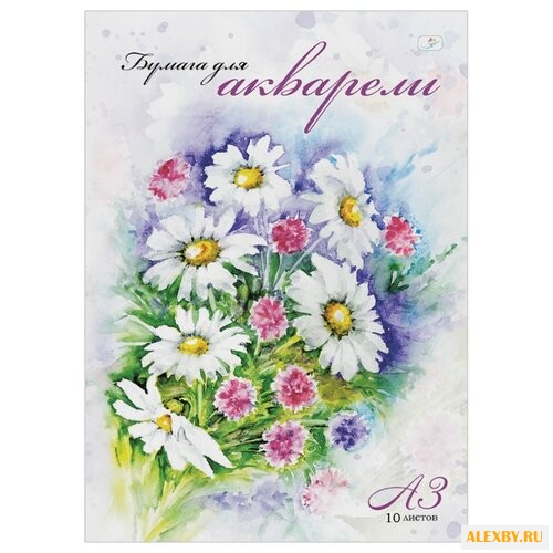 Папка для акварели ArtSpace