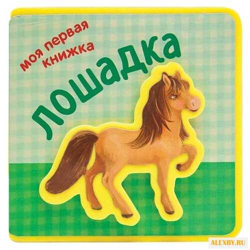 Вилюнова В. А. Мои первые