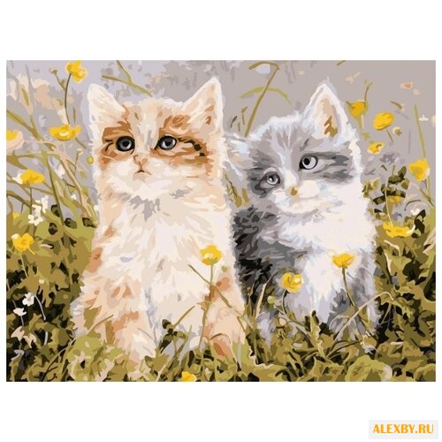 Color Kit Картина по номерам