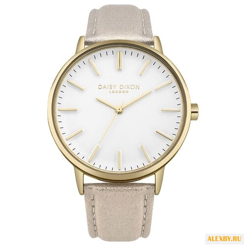 Наручные часы DAISY DIXON DD061GG