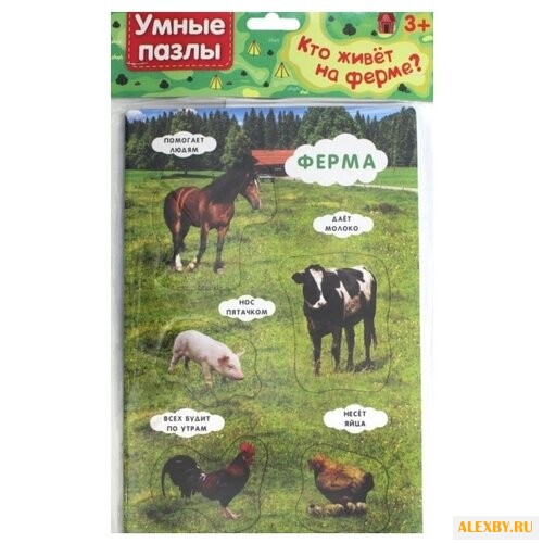 Рамка-вкладыш Феникс Кто живет