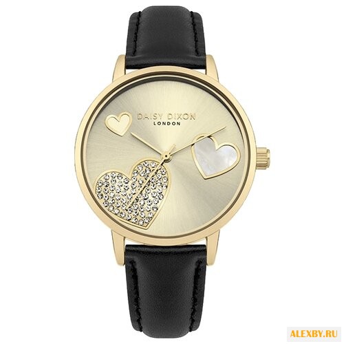 Наручные часы DAISY DIXON DD076BG