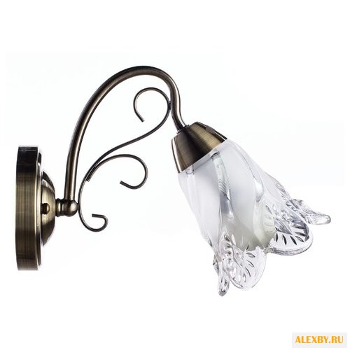 Настенный светильник Arte Lamp