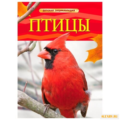 Доэрти Дж. Детская